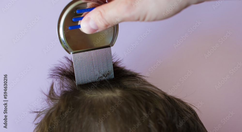 Lice comb and brunette hair copyspace - obrazy, fototapety, plakaty 