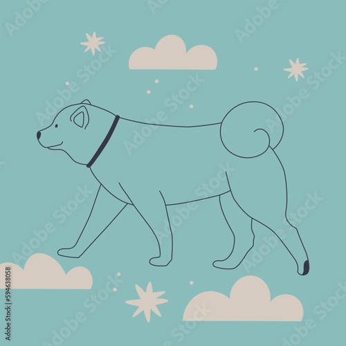Cute dog in the clouds. Shiba inu in a collar walks. Vector illustration.