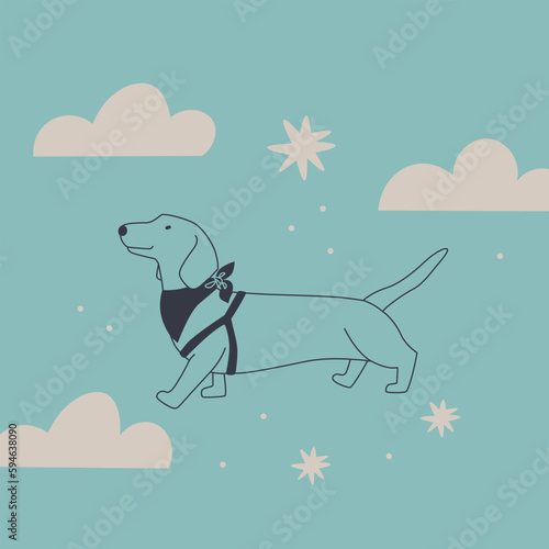Cute dog in the clouds. Dachshund walks in a collar. Vector illustration.