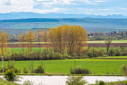 Cultivated fields in spring, a grove of poplar trees, in the foreground a small reservoir, Danube Plain, Bulgaria.