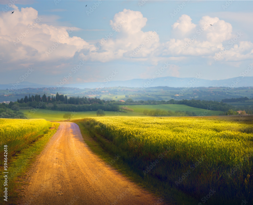 Obraz premium Italian Countryside Panorama of summer green field with dirt road and cloudy blue sky. Beautiful Italian summer rural landscape;