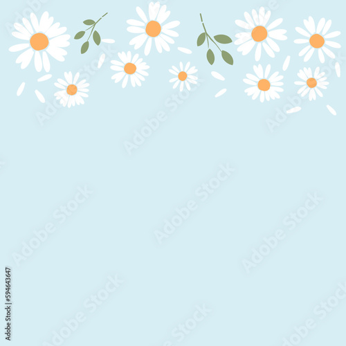 Daisy flower and branches on blue background vector.