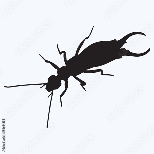 Earwig silhouettes and icons. Black flat color simple elegant Earwig animal vector and illustration. © Charlie