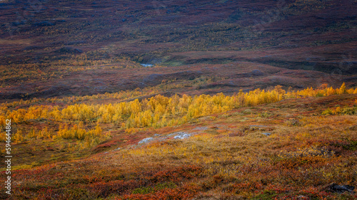 Autumn landscape in Abisko national park in north of Sweden.autumn,fall, © Conny Sjostrom