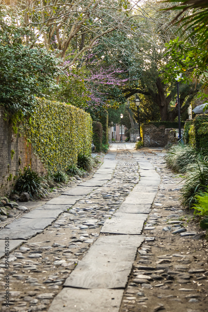 Naklejka premium An old alley in the city of Charleston with a cobblestone street and a green canopy from the trees