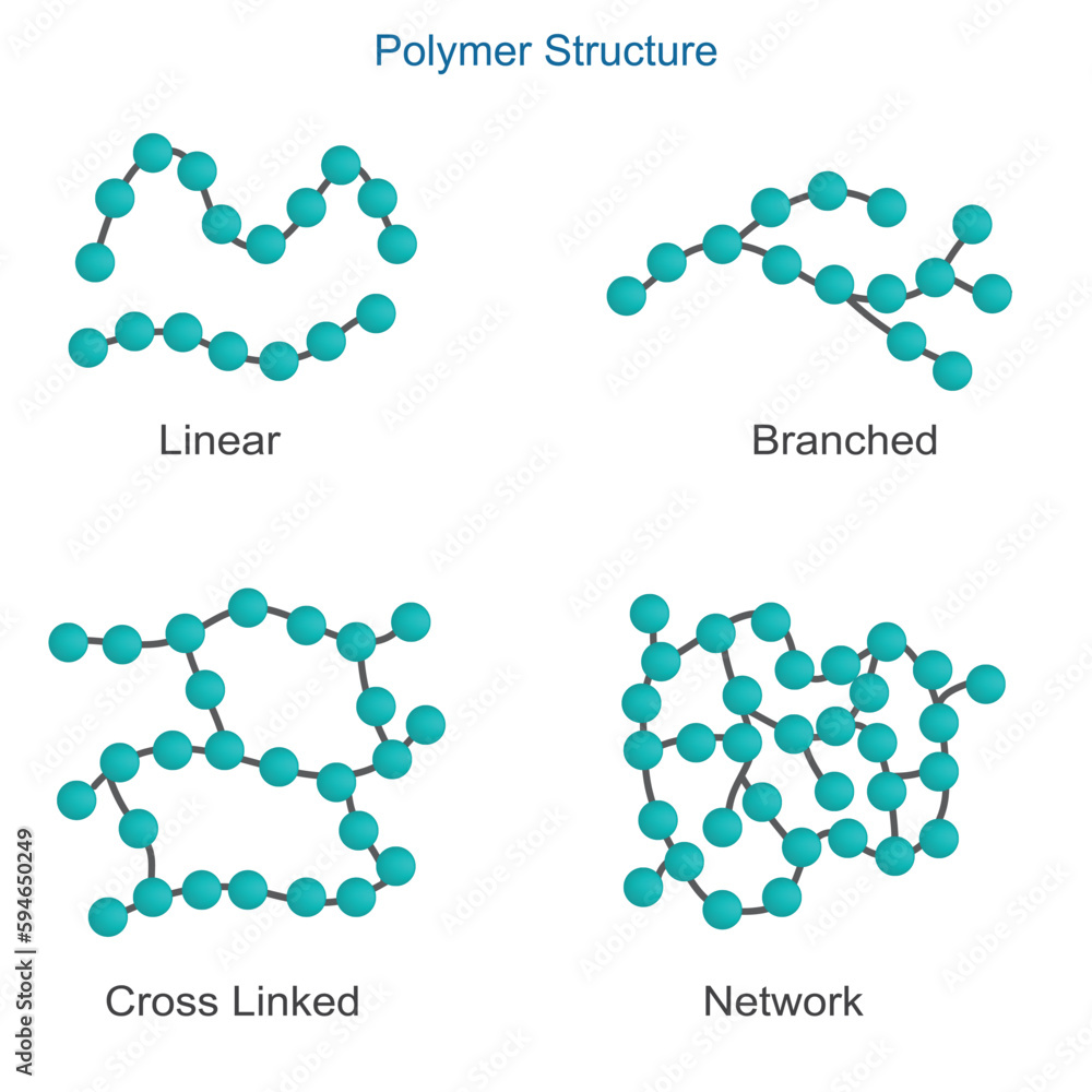 Vecteur Stock The four basic polymer structures are linear, branched ...