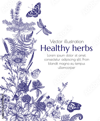 Vector illustration of wild flowers and plants surrounded by butterflies. Chamomile, clover, fern, chicory, lavender in engraving style