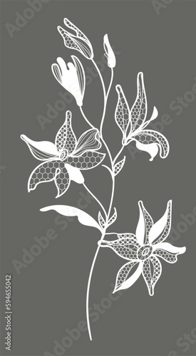 lace flower, bouquet, vector illustration