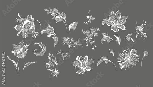 Fényképezés lace flower set, bouquet, vector illustration