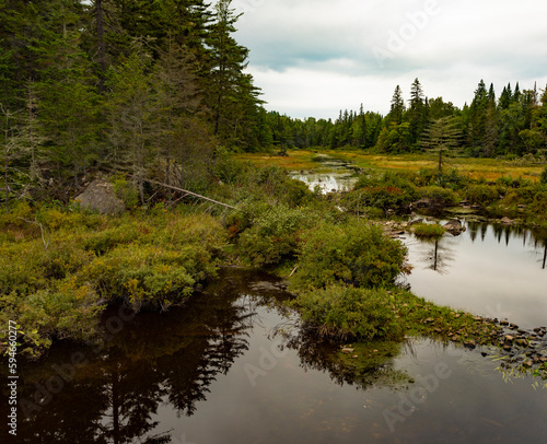 Small creek and pools of water in Maine