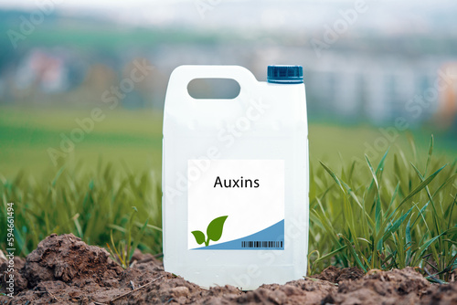 Auxins plant growth hormones that promote cell elongation and division, regulate apical dominance, and stimulate root formation. photo