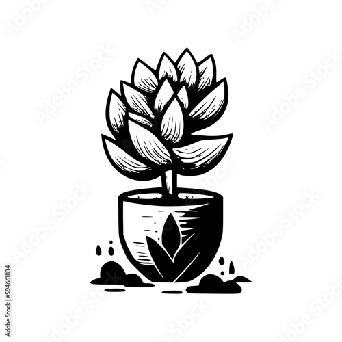 Succulent | Black and White Vector illustration
