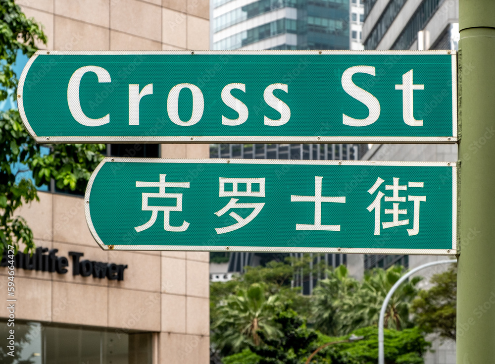Street sign in English and Chinese in downtown Singapore