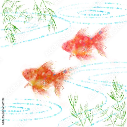 2匹の金魚