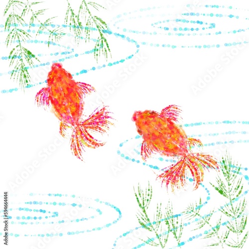 2匹の金魚
