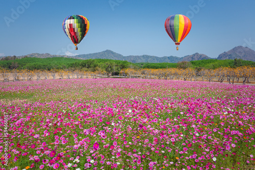 Color hot air balloon flight in the blue sky over the cosmos flowers with nature background. transportation concept.