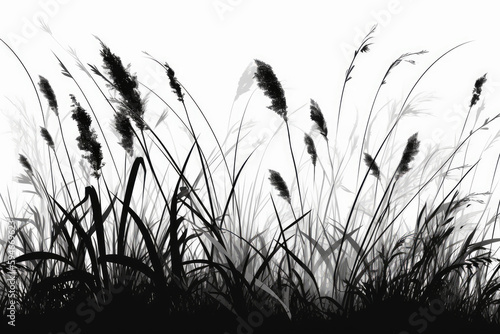 Grass On White Background, Black And White. Generative AI