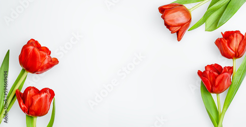 background with red tulips and copy space, top view