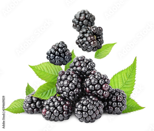 falling blackberries in a pile on a white isolated background
