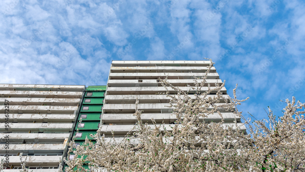 Facade with rows of white, concrete balconys and green structure of building. Apartment house in Tysiąclecie district, Katowice, Silesia, Poland. Trees blooming with white flowers on the foreground.