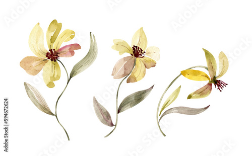 Botanical set of watercolor illustrations of yellow flowers. hand painted .
