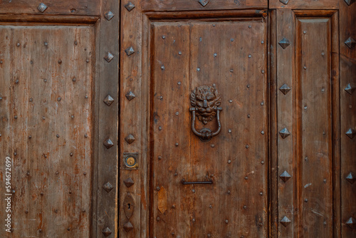 Brown beautiful door in Pisa,Italy. External wooden door and ivy on the wall