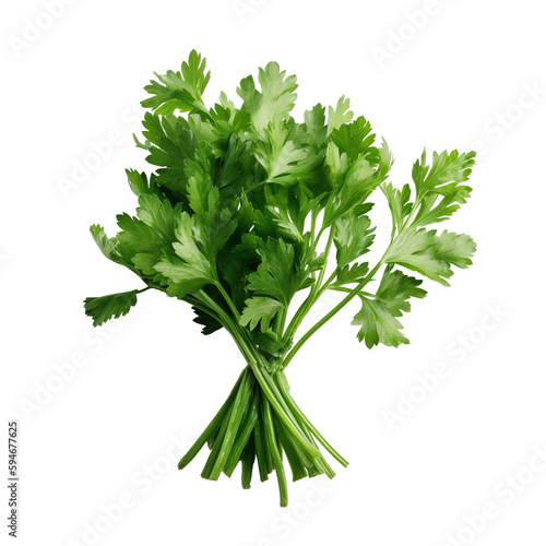 Parsley on white and transparent background.