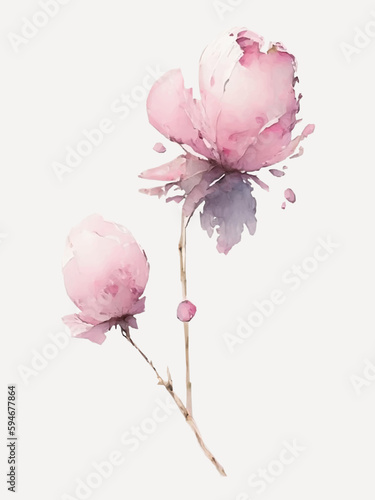 Delicate watercolor pink flowers peony rose isolated on white background. Abstract floral art painting. Aesthetic vector illustration