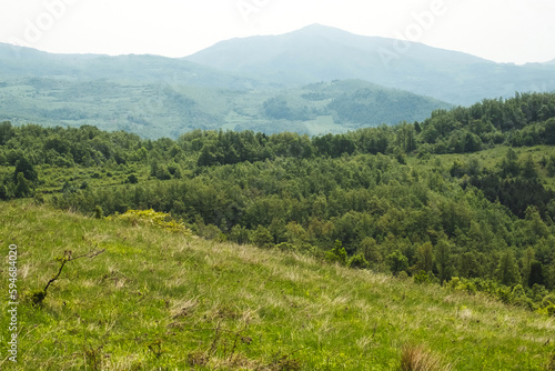 Amazing mountain view of the blooming meadow, rural road and small hut on the mysterious pyramid Rtanj, Serbia