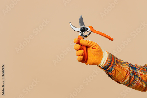 Close up cropped male hold in hand gardening secateurs for flowers isolated on pastel plain light beige color background studio. Plant caring working in garden concept. Copy space advertising mock up. photo