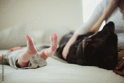 newborn baby feet and dog in bed