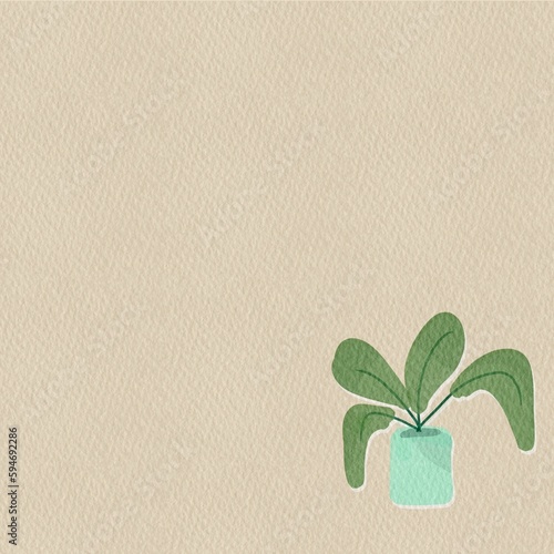 plant on the sand Minimalist elephant ear plant in small pot