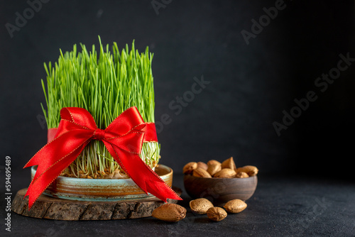 front view green semeni with red bow and nuts on dark background ornate ribbon horizontal ethnic spring holiday novruz concept photo