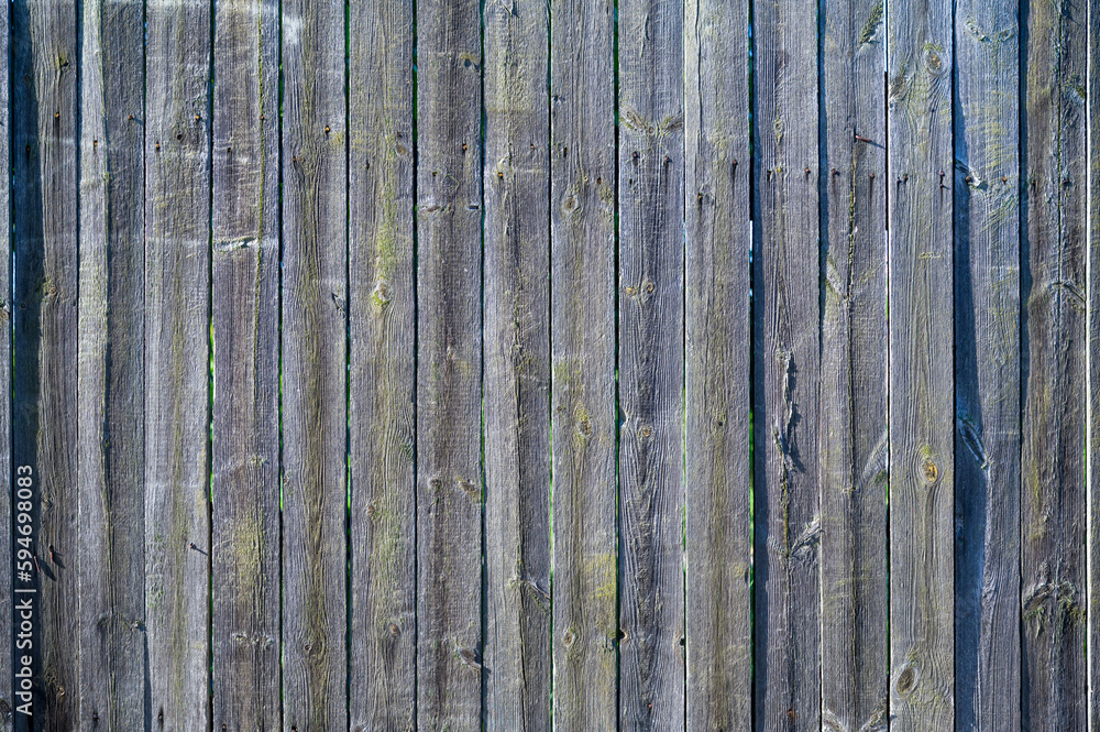 Fototapeta premium wooden fence boards made of unpainted , close-up shot