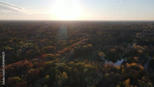 Milwaukee Forest Sunrise