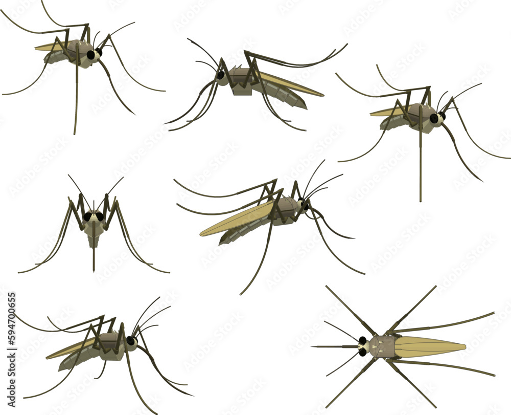 Vector sketch illustration of flying mosquito Vector sketch illustration of flying mosquito