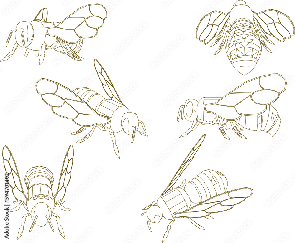 Vector sketch of honey bee animal illustration Vector sketch of honey bee animal illustration