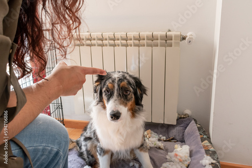 Owner scolding her female dog with her finger for breaking the pillow. The puppy looks at her.
