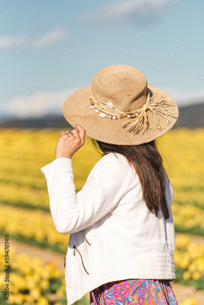 Femme au premier plan d'un champs de tulipes jaune dans le sud de la France,  et les montagnes enneigés au dernier plan, près de la ville de Lurs, avec un beau ciel bleu