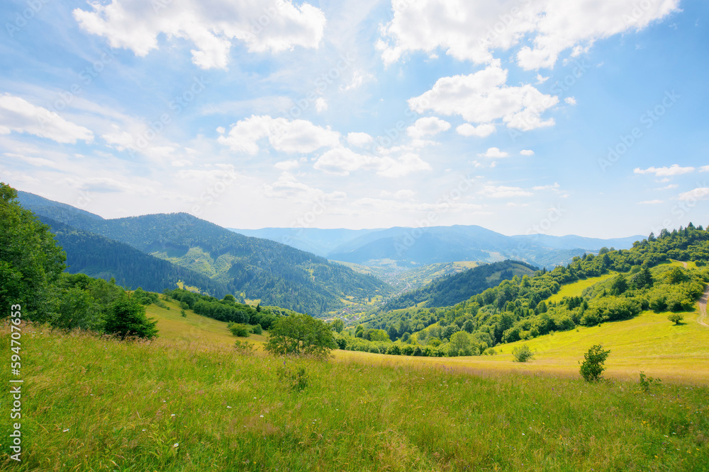 rural fields and meadows on the forested hills. village in the distant valley. carpathian countryside in summer with mountain range in the distance. sunny afternoon weather with fluffy clouds on sky