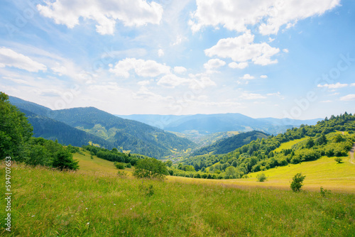 Fototapeta Naklejka Na Ścianę i Meble -  rural fields and meadows on the forested hills. village in the distant valley. carpathian countryside in summer with mountain range in the distance. sunny afternoon weather with fluffy clouds on sky