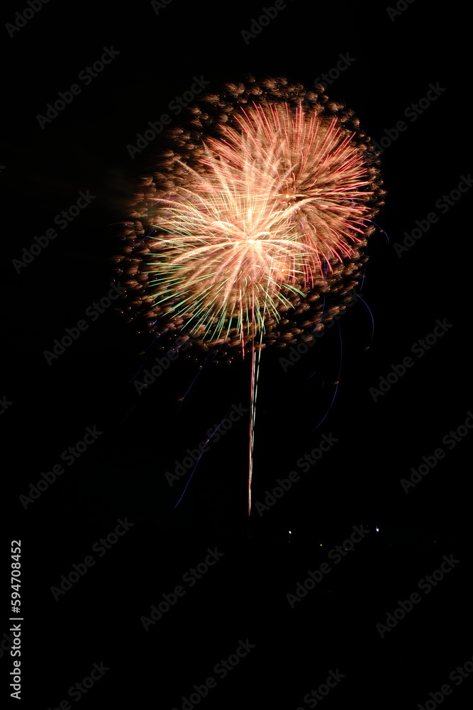 漆黒の夜空に開く大輪の花火