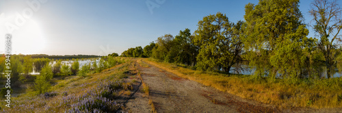 Panorama at sunset on levee of Sacramento river 