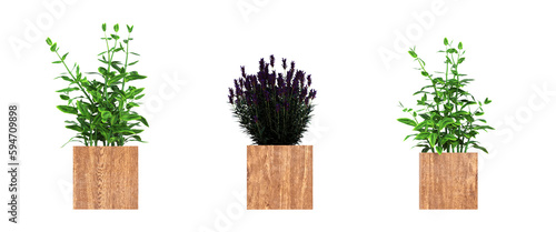 decorative flower in a pot isolated on white background, 3D illustration, cg render 