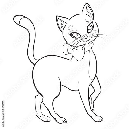 sketch, elegant cat with a bow around its neck, coloring book, cartoon illustration, isolated object on a white background, vector,