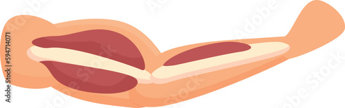 Hand muscle icon cartoon vector. Strong muscular. Fiber body