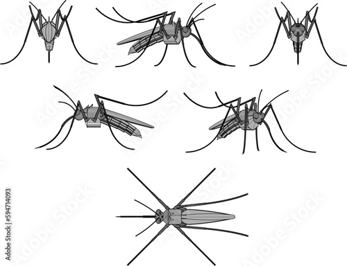Vector illustration sketch of a disease-causing blood-sucking mosquito © nur