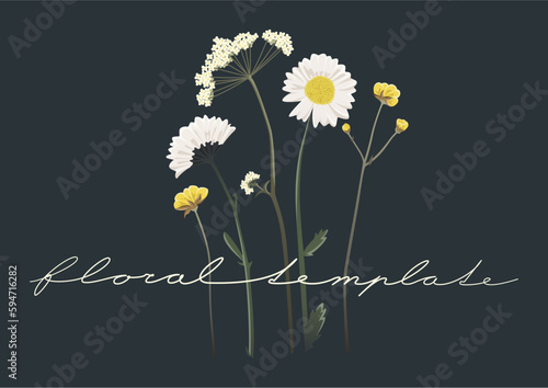 Collection of isolated meadow flowers. Vector clipart of illustrated wild flowers: daisy flowers, yarrow plants and buttercup flowers for healthcare, organic, beauty or floral designs.