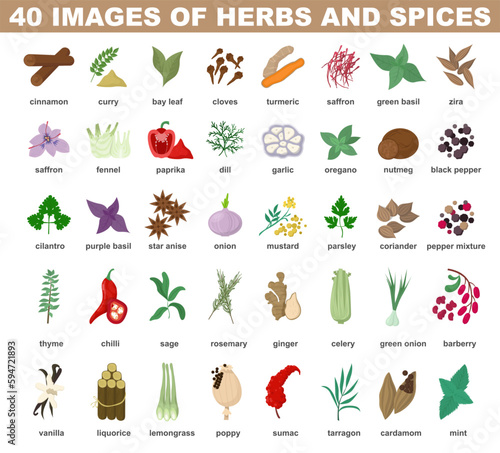 Spices and herbs for cooking. Delicious food ingredient collection.