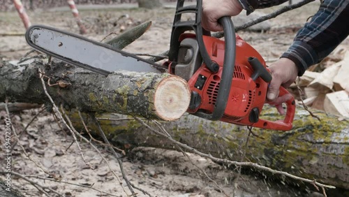 Wallpaper Mural an elderly lumberjack with a chainsaw in his hands saws logs into stumps standing on street, close-up Torontodigital.ca
